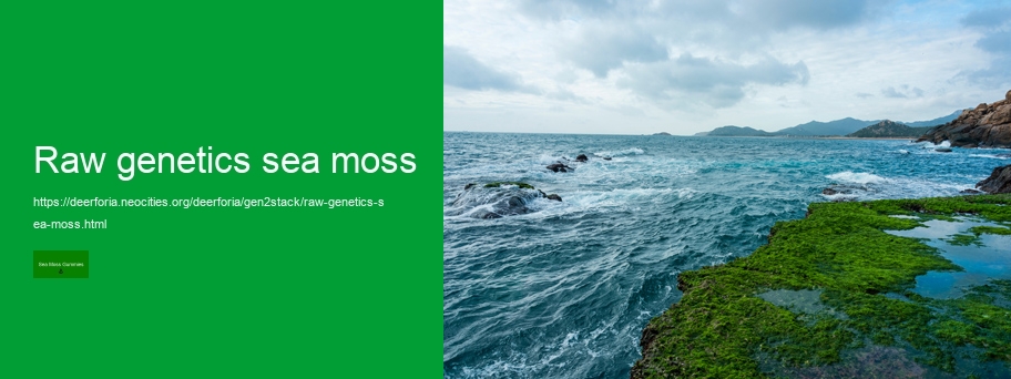 sea moss gummies for weight loss